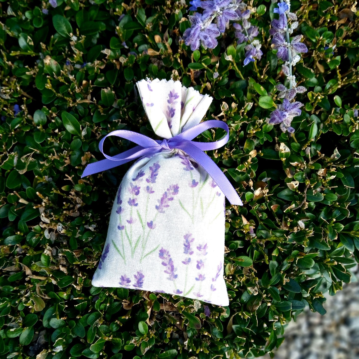 Take Time to Unwind Organic Bag Set